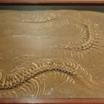 animales extintos raroso