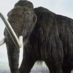animales extintos rarosr