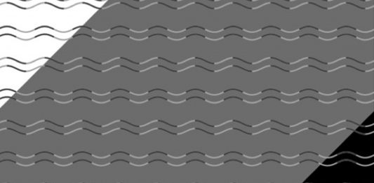 Ceguera de Curvatura, ¿la sufres? | ¡Esta ilusión óptica te lo revela!