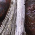 50 Curiosidades de Nueva Zelanda impresionantes | Con Imágenes