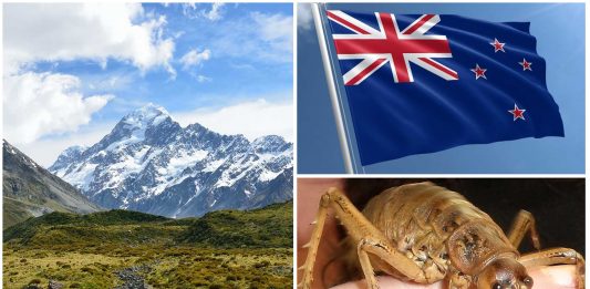 50 Curiosidades de Nueva Zelanda impresionantes | Con Imágenes