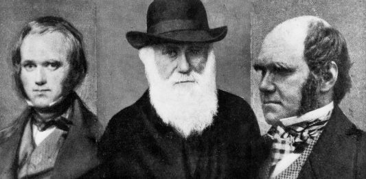 El Sistema de trabajo de Charles Darwin |Menos horas, más eficacia