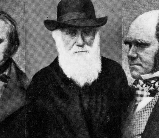 El Sistema de trabajo de Charles Darwin |Menos horas, más eficacia
