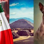 25 Datos Curiosos de México que te asombrarán | Con Imágenes