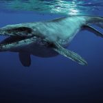 dinosaurios marinos