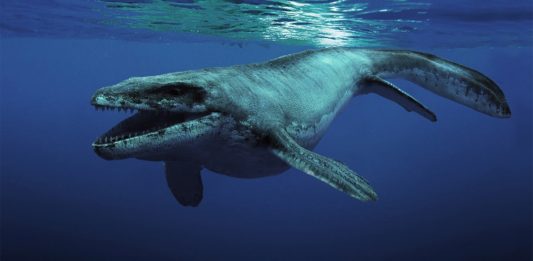 dinosaurios marinos