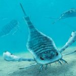 Dinosaurios marinos, Eurypterida