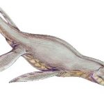 dinosaurios marinos, pliosaurus