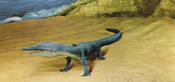 10 Dinosaurios marinos impresionantes | Con Imágenes