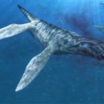 dinosaurios marinos9