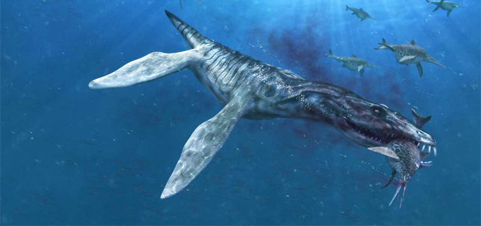10 Dinosaurios marinos impresionantes | Con Imágenes