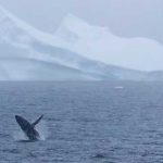 el océano más peligoros del mundo