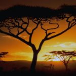 leyendas africanas ‘