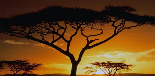 5 leyendas africanas inquietantes y muy poco conocidas | ¿Te atreves a leerlas? leyendas africanas