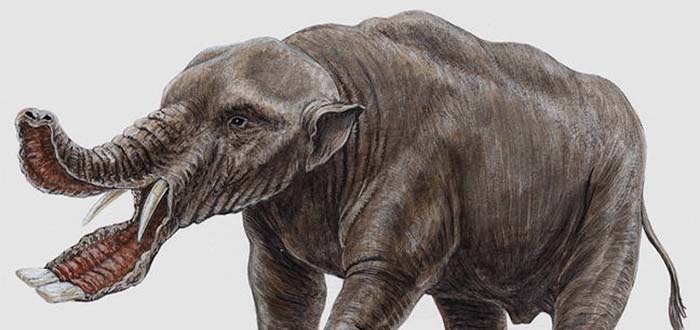 elefante prehistórico