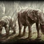 Platybelodon