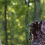 Los Revenants | Historias medievales sobre los que volvían de la muerte