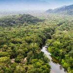 amazonas river