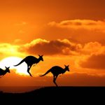 curiosidades de Australia