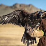 datos curiosos de mongolia