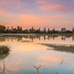 los rios mas peligrosos del mundo