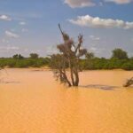 rio-niger