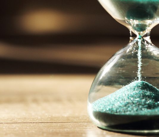 plan de los 100 puntos