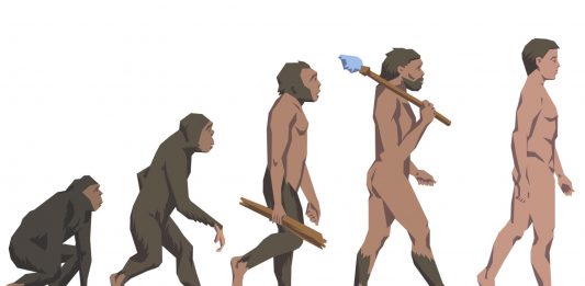 única especie humana