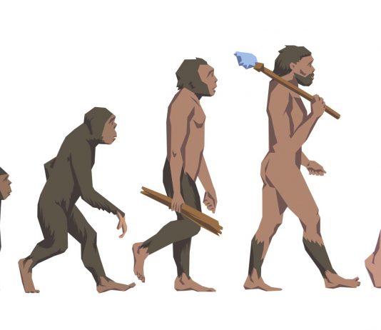 ¿Por qué somos la única especie humana que existe hoy? única especie humana