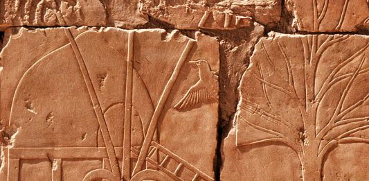 La misteriosa Tierra de Punt a la que viajaron los Egipcios | ¿Dónde está?