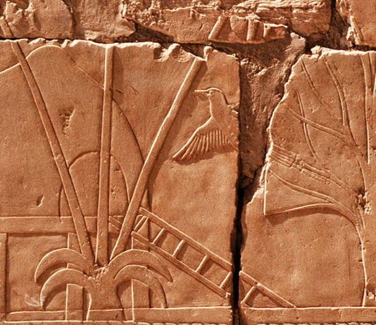 La misteriosa Tierra de Punt a la que viajaron los Egipcios | ¿Dónde está?