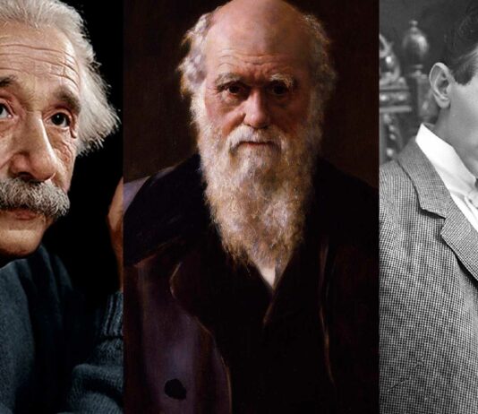 Las Dietas de los Genios más famosos | ¿Eran Vegetarianos? dietas de genios famosos