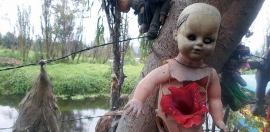 historia de la isla de las muñecas