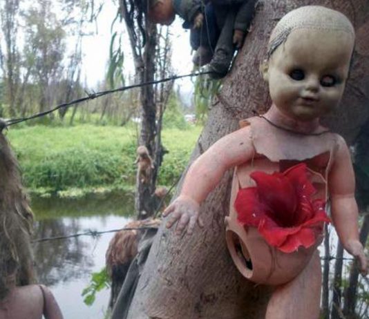 historia de la isla de las muñecas