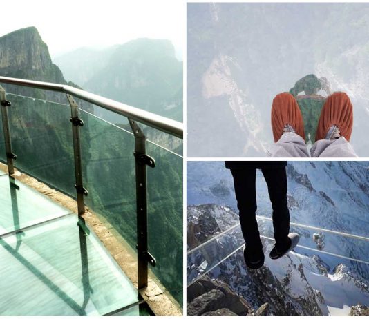 5 Puentes de Cristal alucinantes | ¿Te atreves a cruzarlos?