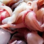pulpo hembra se suicida
