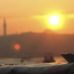curiosidades de Estambul90