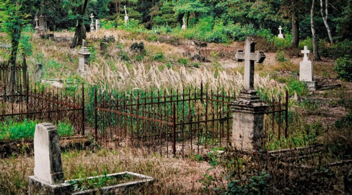 Cementerios abandonados