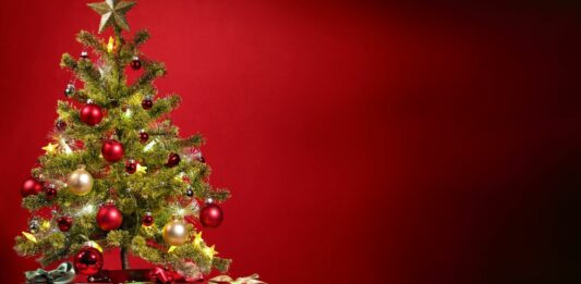 40 Curiosidades de la Navidad | Una fiesta llena de amor familiar Curiosidades de la Navidad