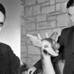 Historia de Rodolfo el reno