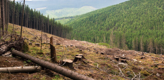 El ser humano ha cambiado el curso de la evolución curso de la evolución