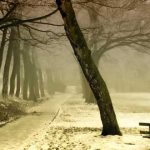 5 Cuentos de Navidad cortos | Historias breves y enternecedoras