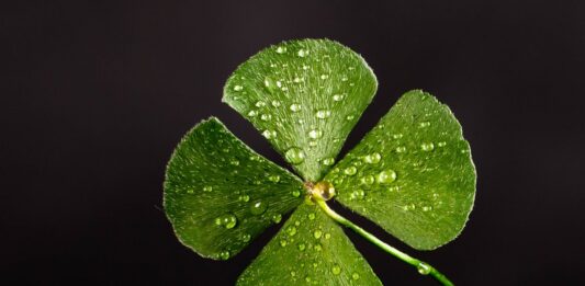 20 Símbolos de Buena Suerte de todo el mundo | ¡Sé afortunado! Símbolos de Buena Suerte