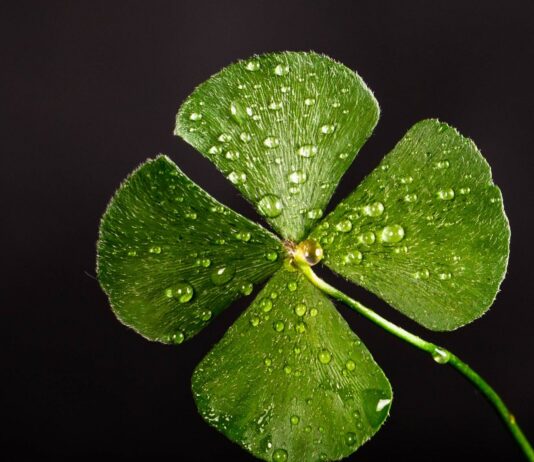 20 Símbolos de Buena Suerte de todo el mundo | ¡Sé afortunado! Símbolos de Buena Suerte