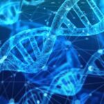 Microquimerismo | Células del bebé que modifican el ADN de su madre