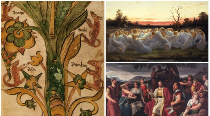 Los nueve mundos de la mitología nórdica | Para los dioses, los elfos...