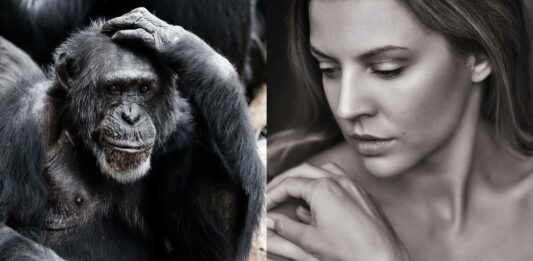 Por qué los humanos perdimos casi todo el pelo corporal