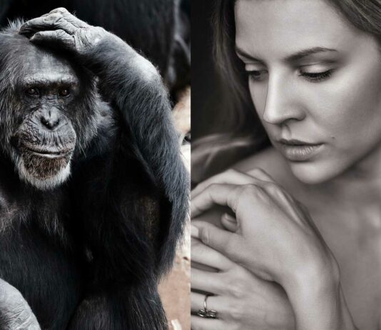 Por qué los humanos perdimos casi todo el pelo corporal Por qué los humanos perdimos casi todo el pelo corporal