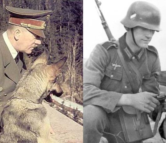 La Hundesprechschule Asra | La escuela para perros parlantes nazis La Hundesprechschule Asra | La escuela para perros parlantes nazis