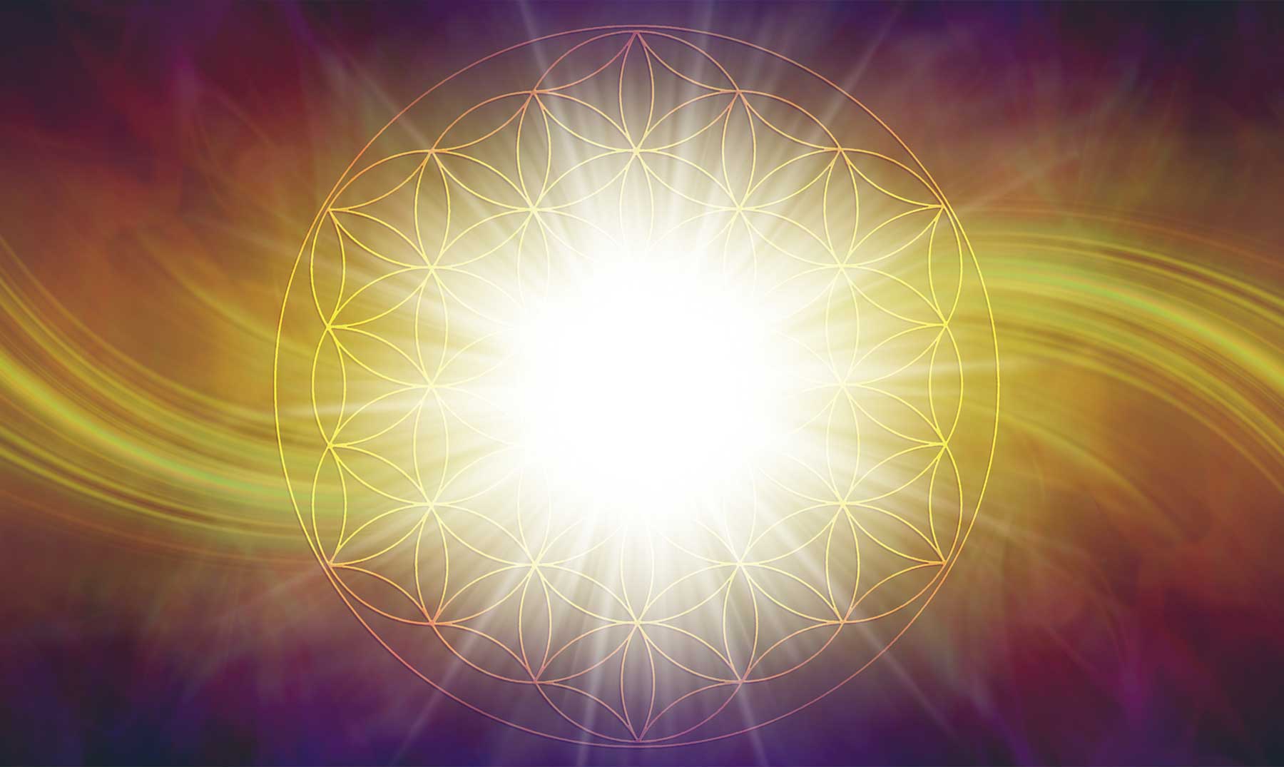 Espiral Aurea | 15 curiosidades de este elemento de la geometría sagrada